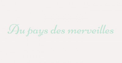 au-pays-des-merveilles-le-bilan-power-plate