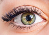extension-de-cils