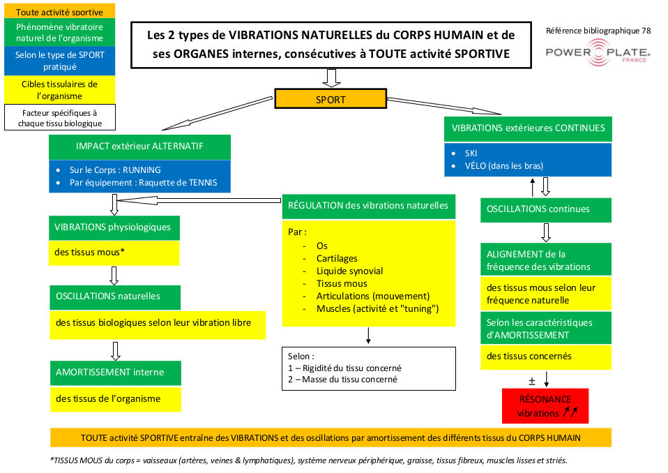 Vibration naturelles du corps humain après le sport Power Plate