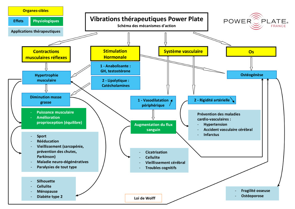 schéma fonctionnement et bénéfice de la Power Plate